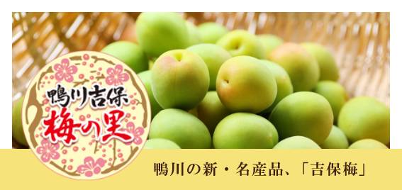 鴨川吉保 梅の里